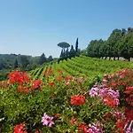 Il Vigneto Апарт-отель *
