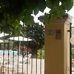 Il Vigneto