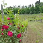 Il Vigneto Апарт-отель *