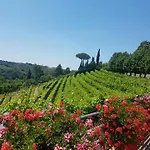 Il Vigneto Апарт-отель *