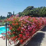 Il Vigneto *