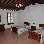 Il Vigneto *