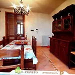 Il Vigneto