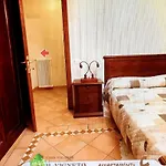 Il Vigneto *