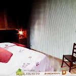 Il Vigneto *