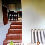 Il Vigneto Лари