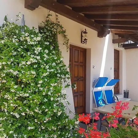 Il Vigneto * Lari