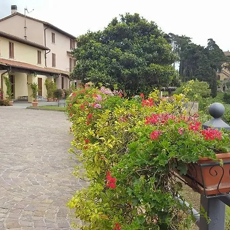 Il Vigneto *