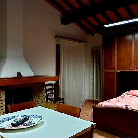 Il Vigneto *