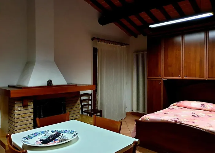 Il Vigneto *