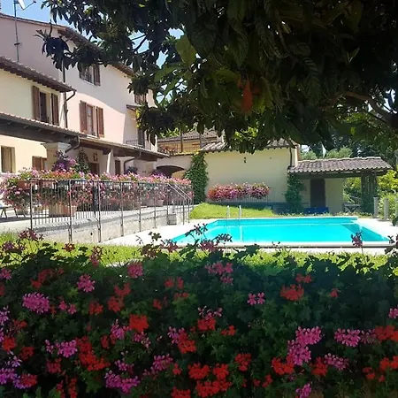Il Vigneto * Lari