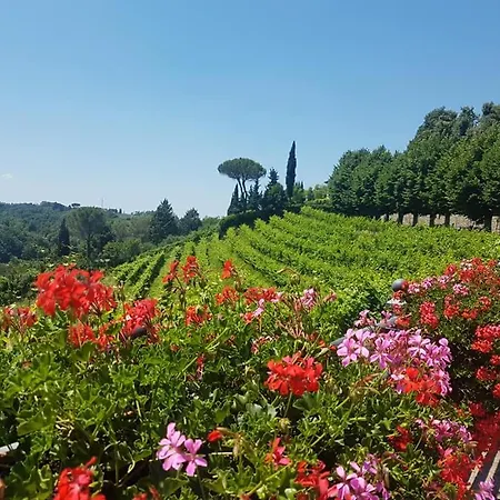 Il Vigneto Aparthotel *