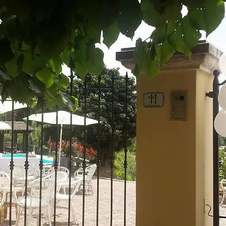 Il Vigneto