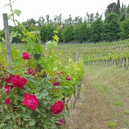 Il Vigneto Aparthotel *