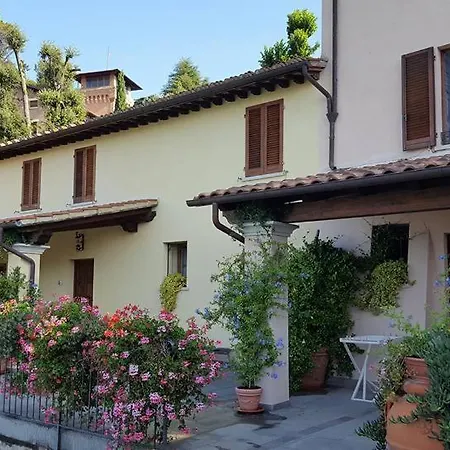 Il Vigneto *