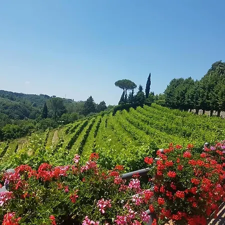 Il Vigneto Aparthotel *