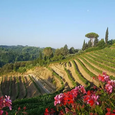 Il Vigneto