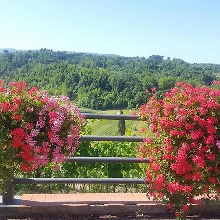 Il Vigneto * Lari