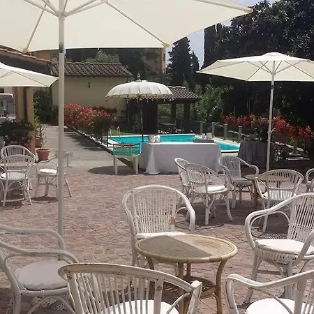 Il Vigneto *