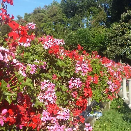 Il Vigneto * Lari