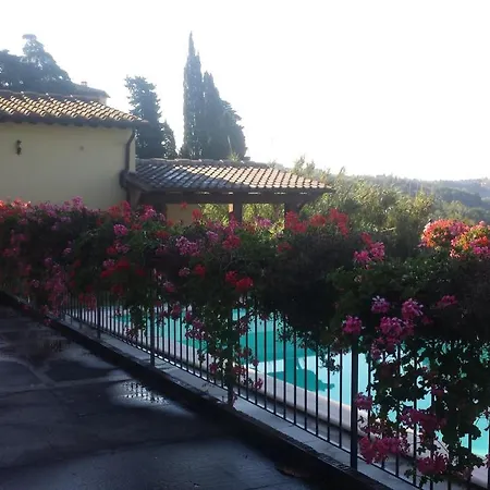 Il Vigneto *