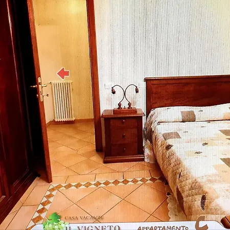Il Vigneto *