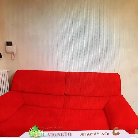 Il Vigneto *