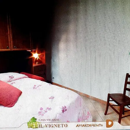 Il Vigneto *