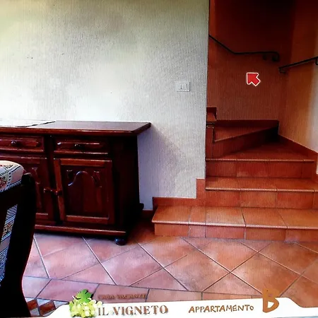 Il Vigneto *